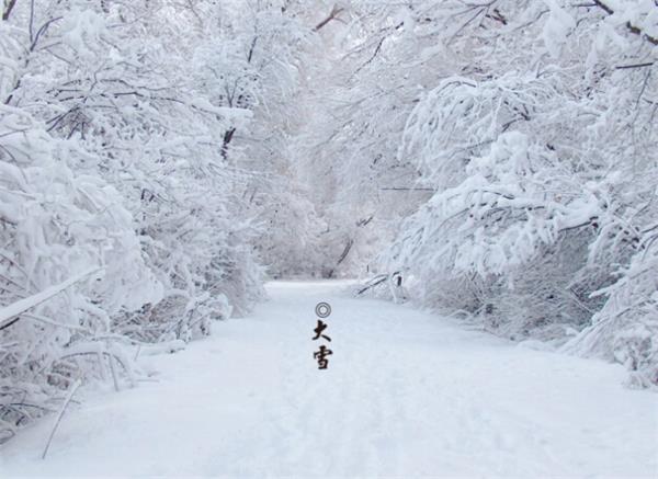 二十四节气之大雪