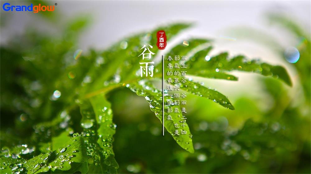 雨生百谷——二十四节气之谷雨