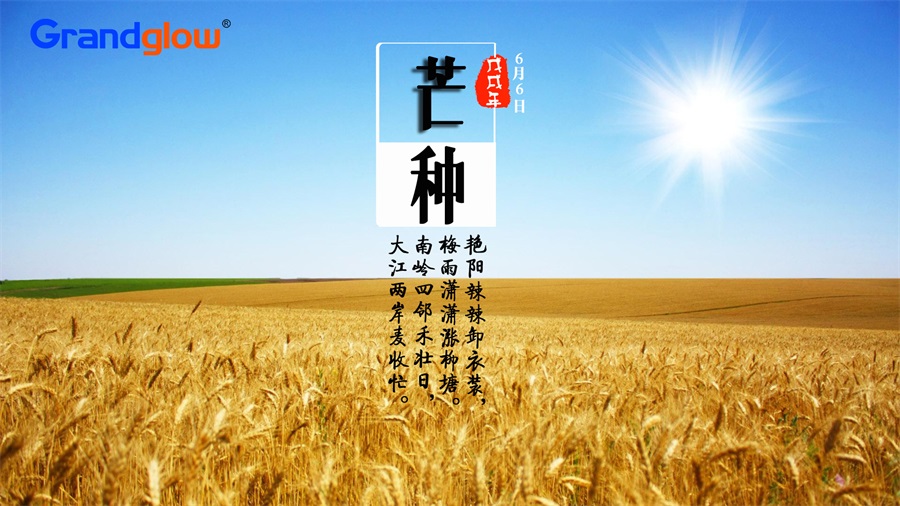 麦黄梅熟仲夏始——二十四节气之芒种