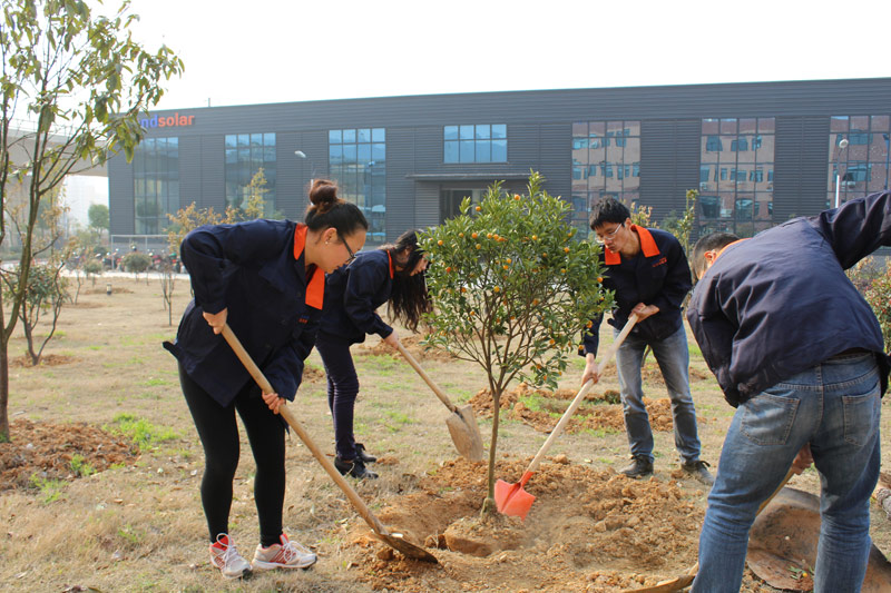 12th Mar Arbor Day In Grandsolar